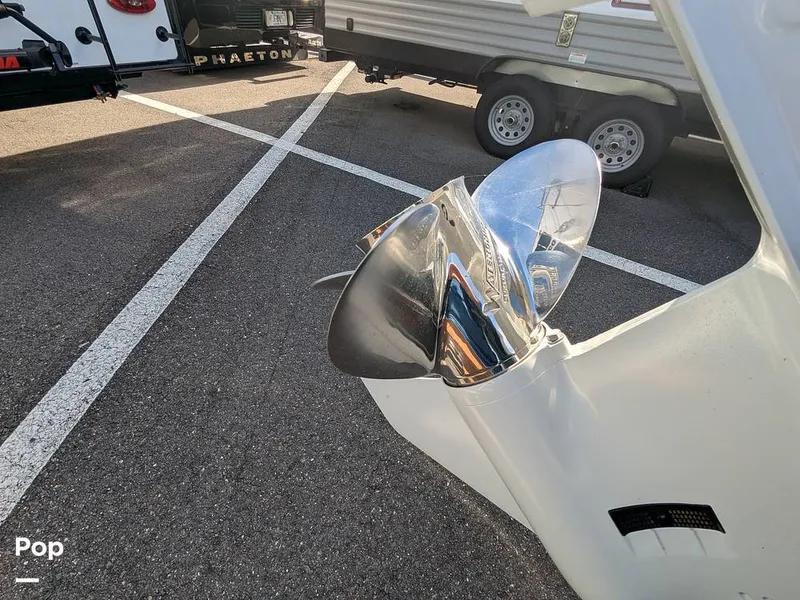 Slide: The Image of Stingray 216CC 2021 - 16190615