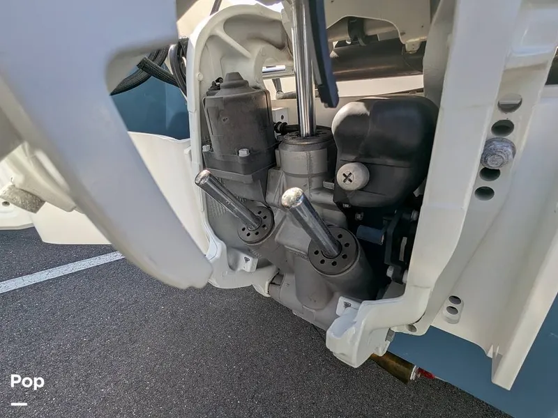 Slide: The Image of Stingray 216CC 2021 - 16190616