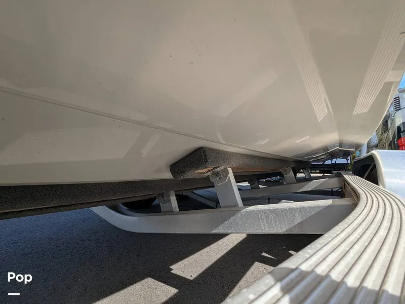 Slide: The Image of Stingray 216CC 2021 - 16190621