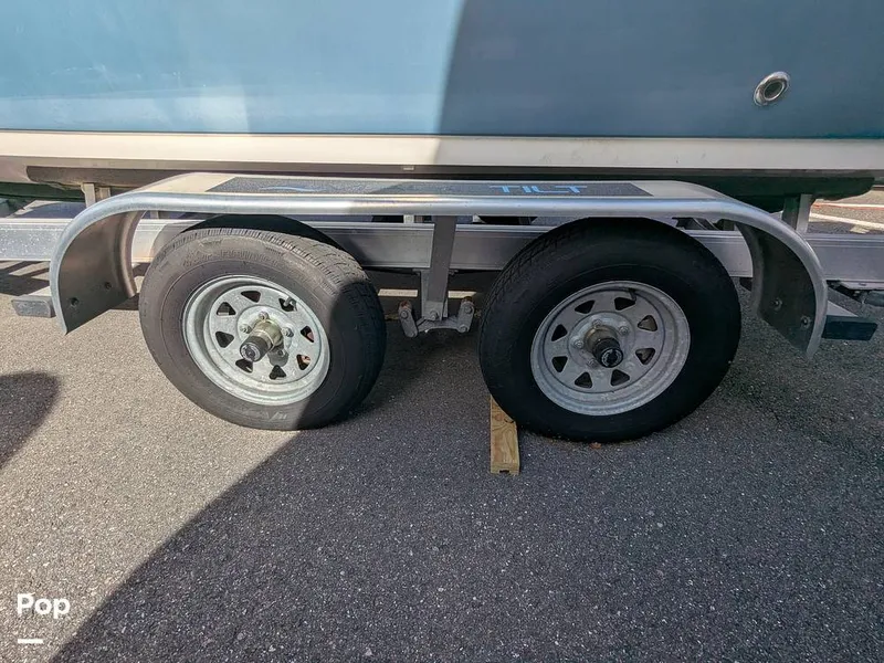 Slide: The Image of Stingray 216CC 2021 - 16190623