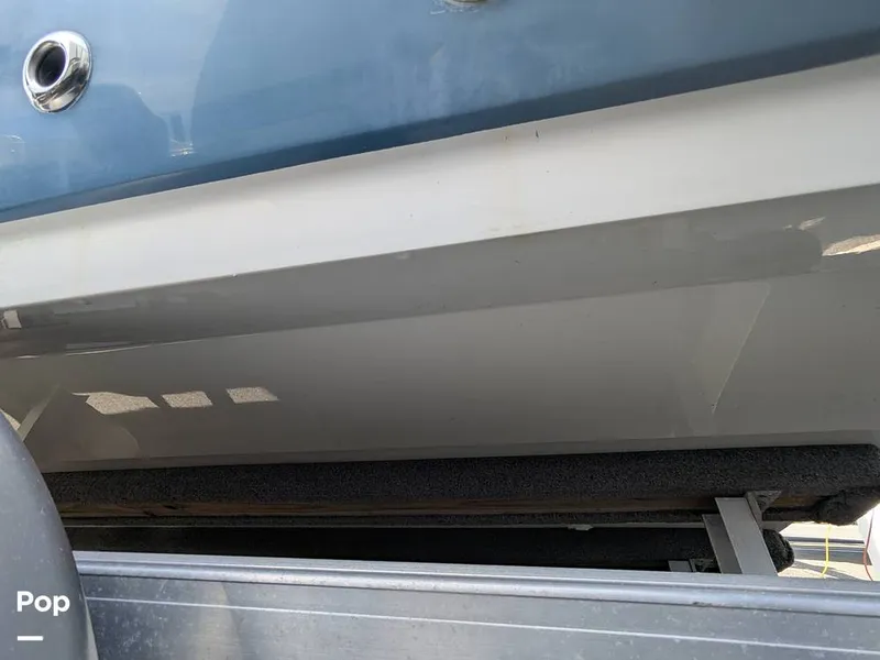 Slide: The Image of Stingray 216CC 2021 - 16190624