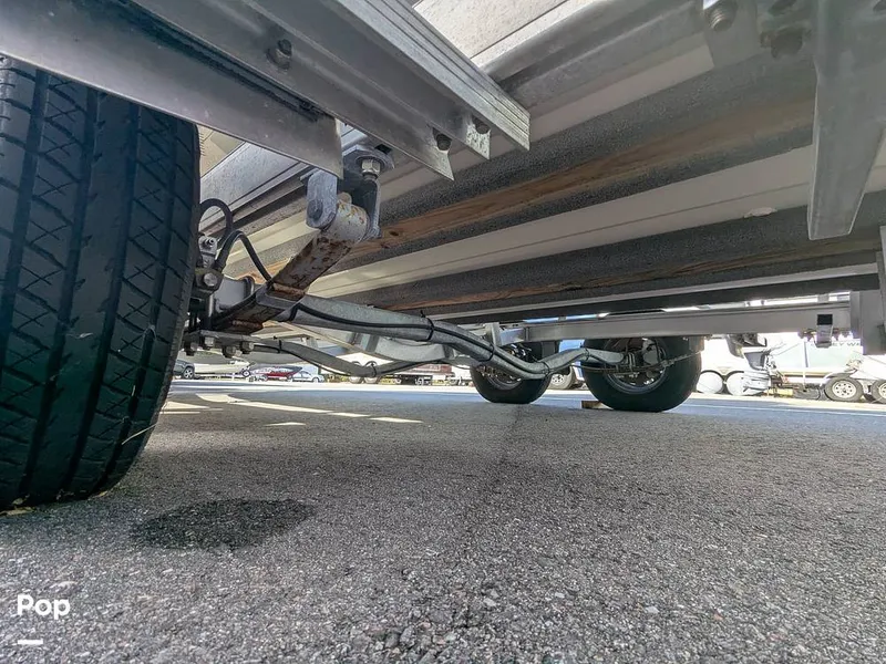 Slide: The Image of Stingray 216CC 2021 - 16190625