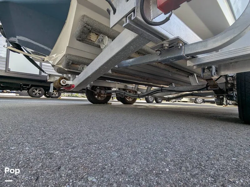 Slide: The Image of Stingray 216CC 2021 - 16190631