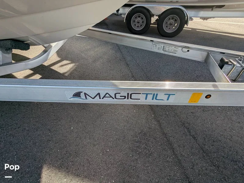 Slide: The Image of Stingray 216CC 2021 - 16190632