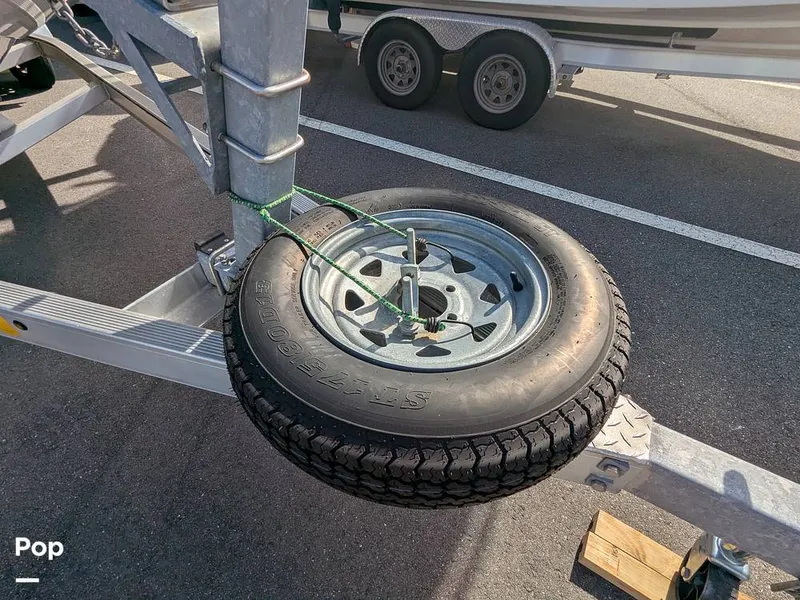 Slide: The Image of Stingray 216CC 2021 - 16190634