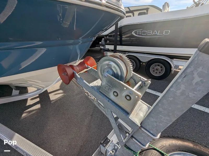 Slide: The Image of Stingray 216CC 2021 - 16190635