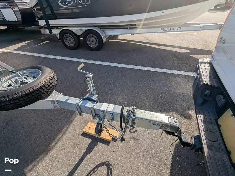 Slide: The Image of Stingray 216CC 2021 - 16190636