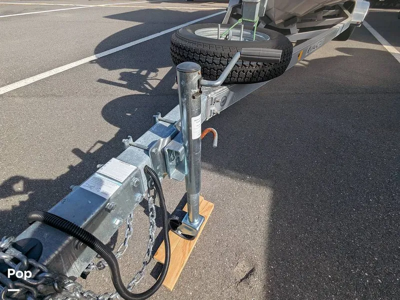 Slide: The Image of Stingray 216CC 2021 - 16190638