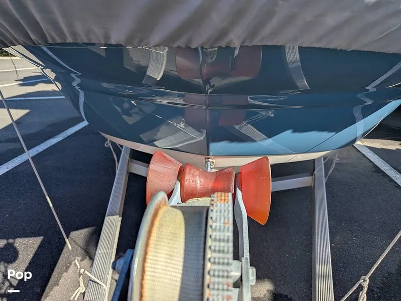 Slide: The Image of Stingray 216CC 2021 - 16209563