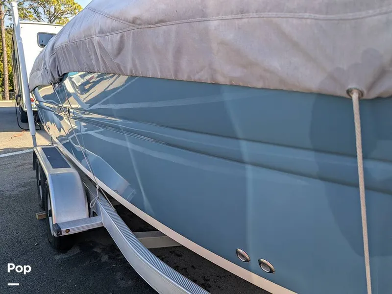 Slide: The Image of Stingray 216CC 2021 - 16209567