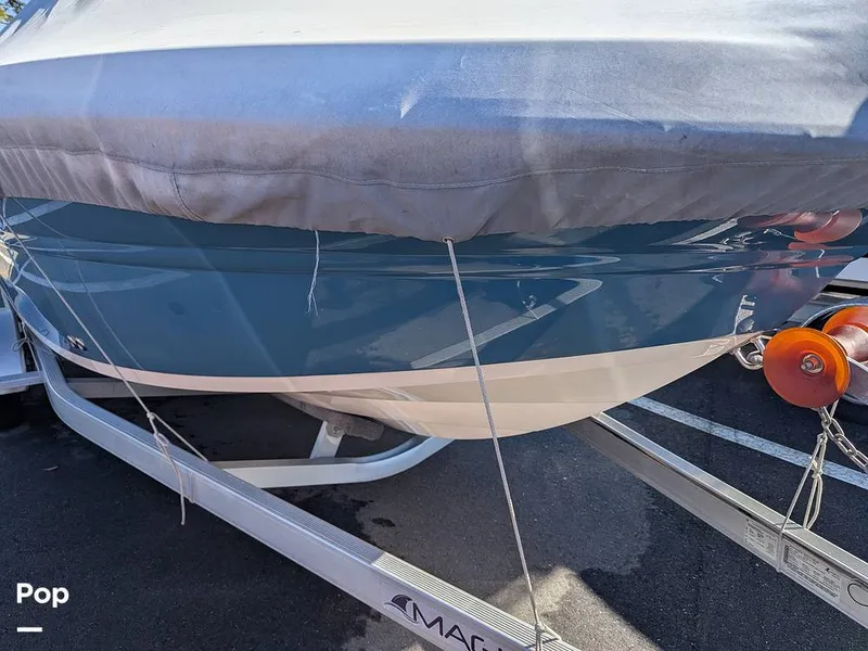 Slide: The Image of Stingray 216CC 2021 - 16209568