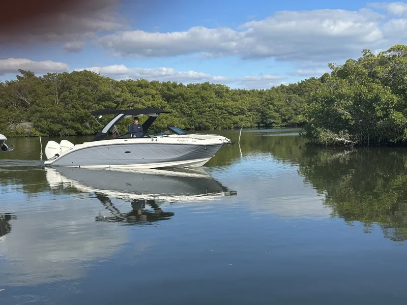 Slide: The Image of Sea Ray 290 SD-OB 2024 - 2