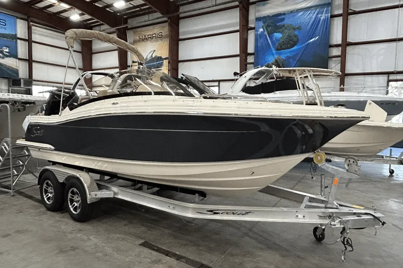 Slide: The Image of Scout 215 Dorado 2024 - 5