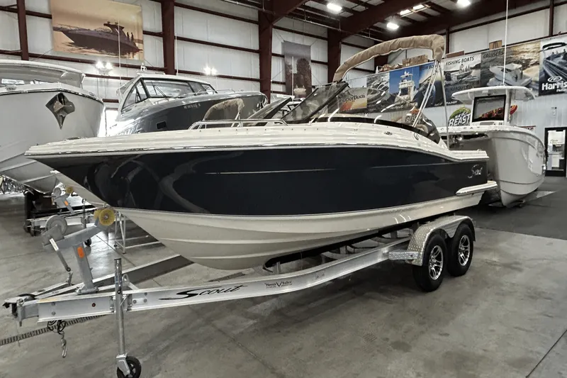 Slide: The Image of Scout 215 Dorado 2024 - 6