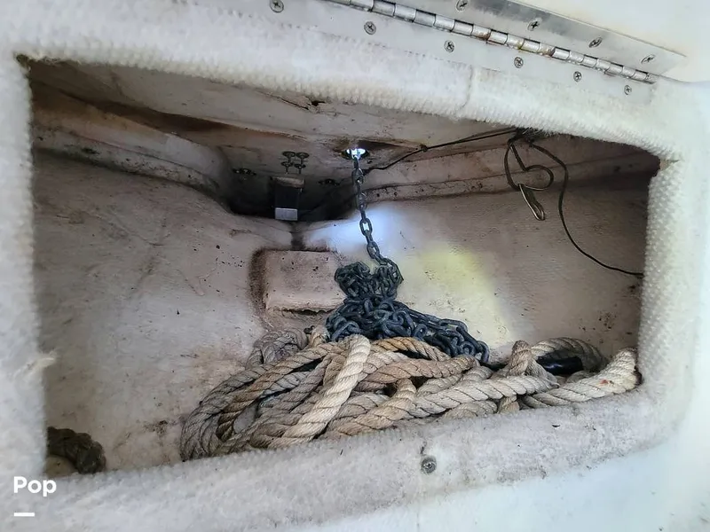 Slide: The Image of Wellcraft 24 Walkaround 2000 - 16227146