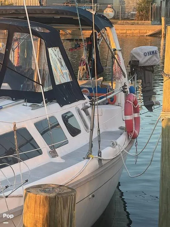 Slide: The Image of Hunter 310 1997 - 16215787