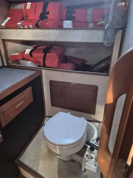 Slide: The Image of HEAD - 16198069