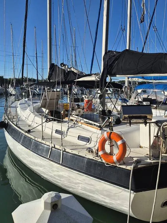 Slide: The Image of Morgan Out Island 41 1976 - 16198059