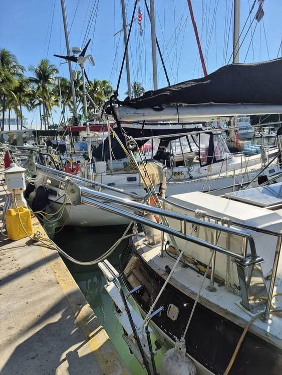 Slide: The Image of DAVITS/ LADDER - 16198061