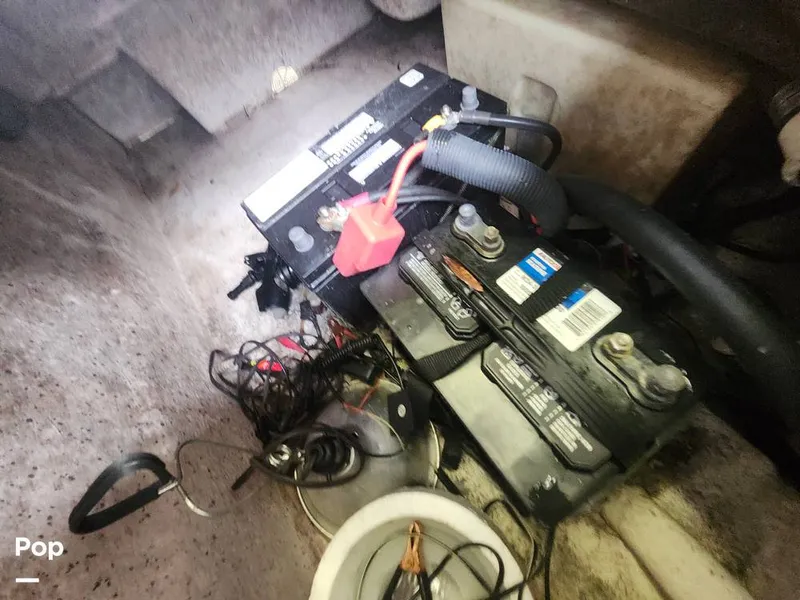 Slide: The Image of Carolina 258DLV 2016 - 16252618