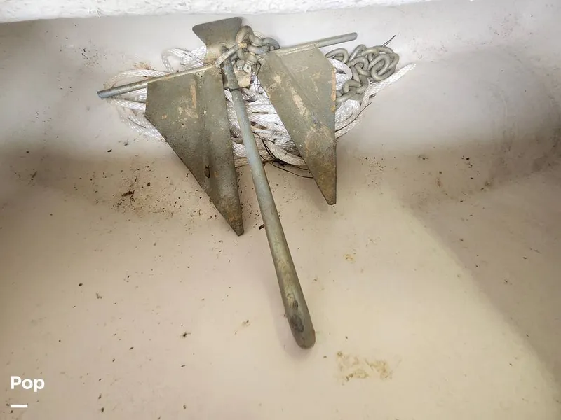 Slide: The Image of Carolina 258DLV 2016 - 16252696