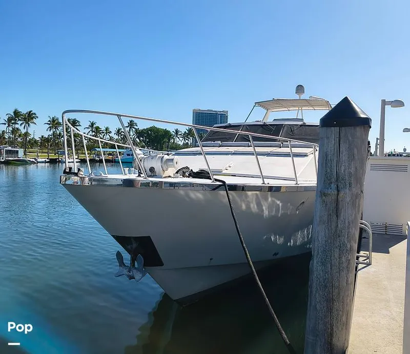 The Image of Guy Couach 84 1984 - 16210026