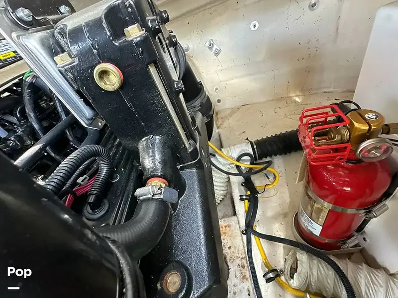 Slide: The Image of Chaparral Sunesta 254 2006 - 16226191