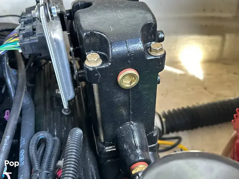 Slide: The Image of Chaparral Sunesta 254 2006 - 16226192