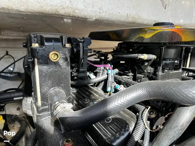 Slide: The Image of Chaparral Sunesta 254 2006 - 16226197