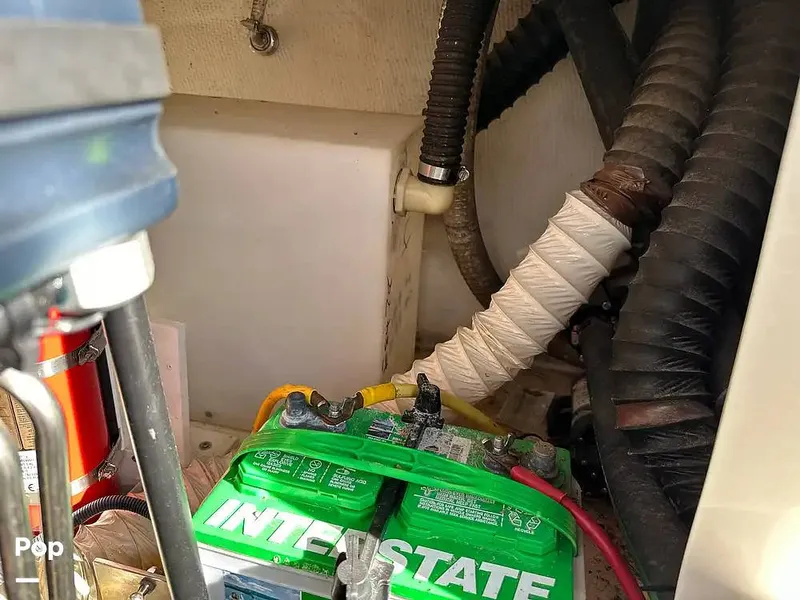 Slide: The Image of Chaparral Sunesta 254 2006 - 16226198