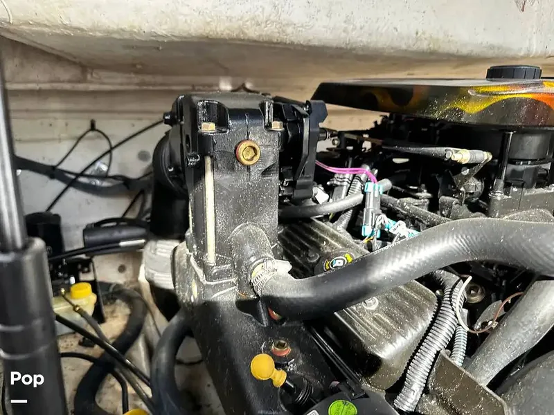 Slide: The Image of Chaparral Sunesta 254 2006 - 16226202