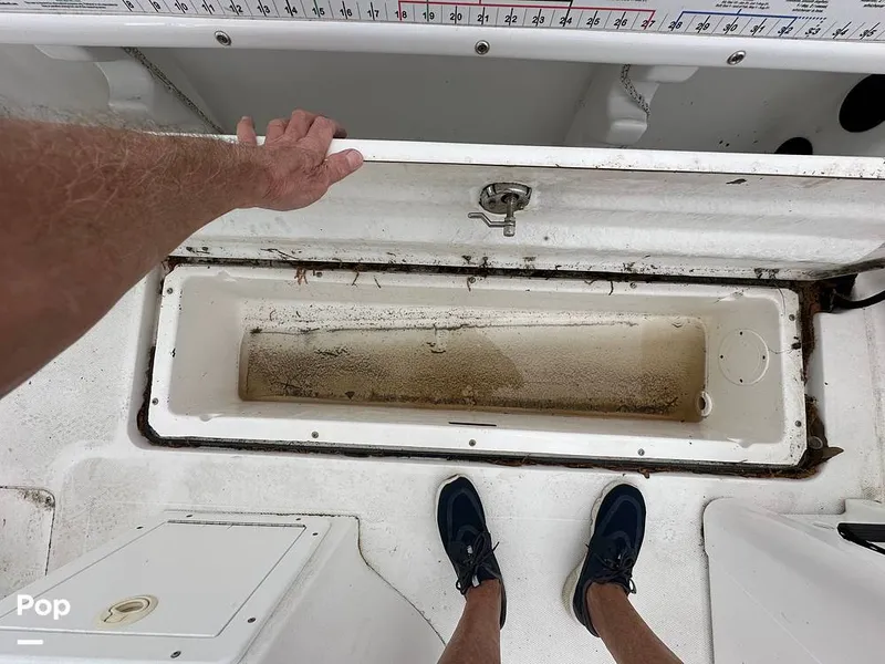 Slide: The Image of Sea Fox 257 CC 2006 - 16229971