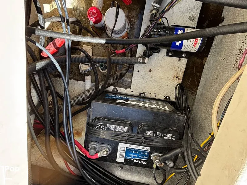 Slide: The Image of Mako 261 1989 - 16244871