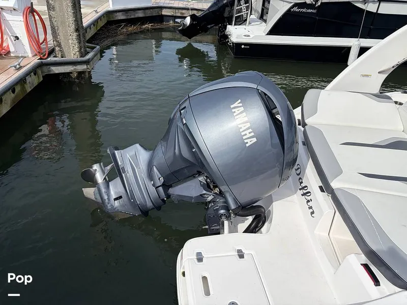 Slide: The Image of Regal 21 OBX 2025 - 16245919