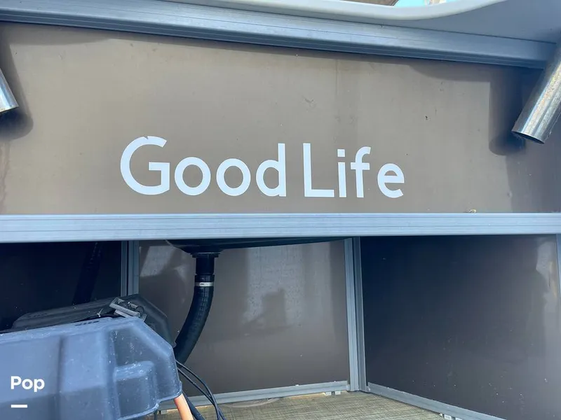 Slide: The Image of Lowe SF232 2024 - 16210189