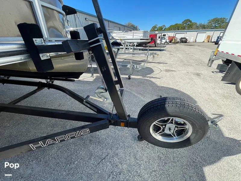 Slide: The Image of Lowe SF232 2024 - 16210194