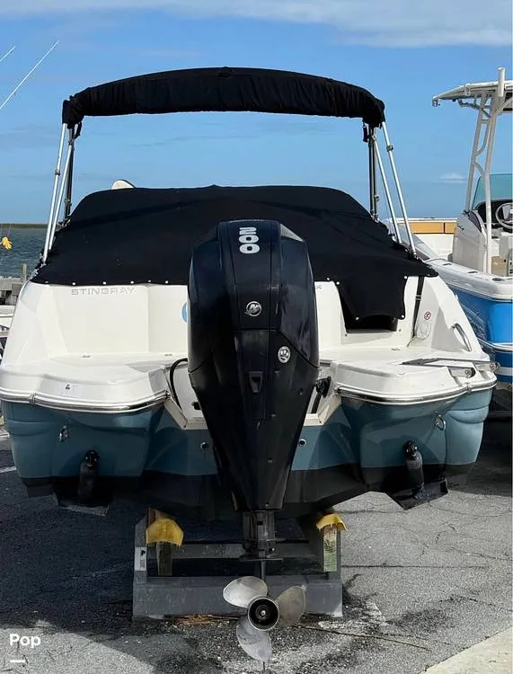 Slide: The Image of Stingray 231DC 2020 - 16211684