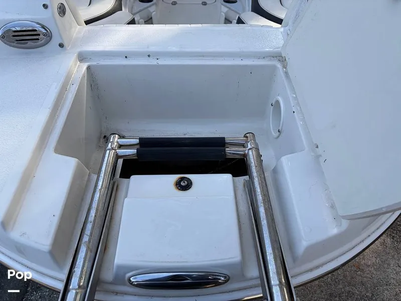 Slide: The Image of Stingray 231DC 2020 - 16245928