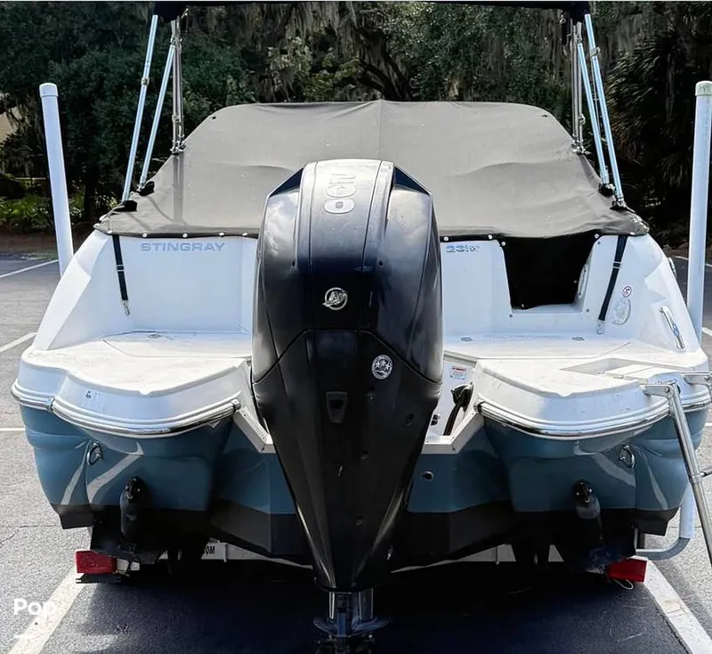 Slide: The Image of Stingray 231DC 2020 - 16211685