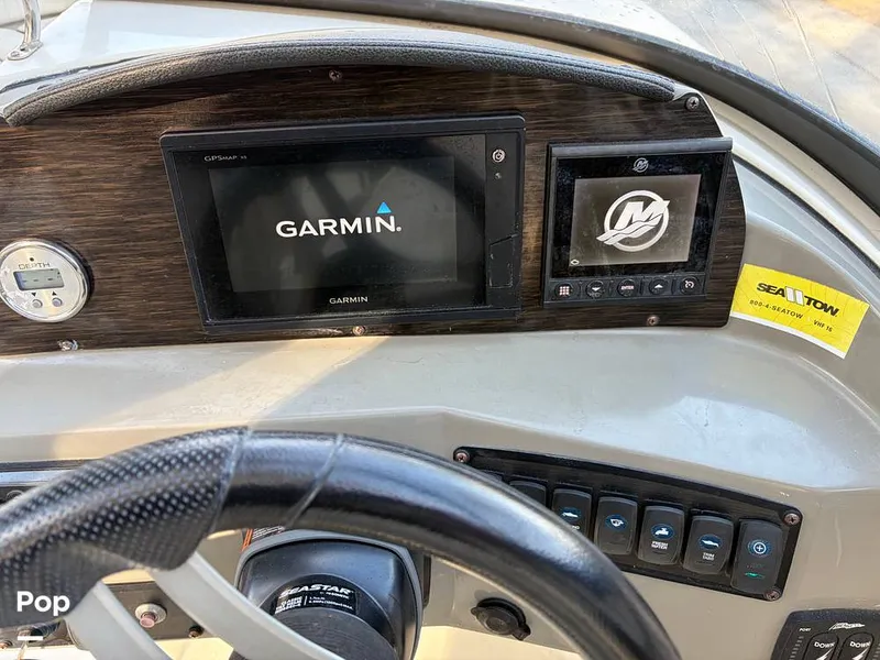 Slide: The Image of Stingray 231DC 2020 - 16245940