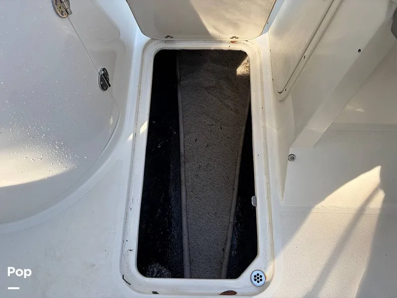 Slide: The Image of Stingray 231DC 2020 - 16245947