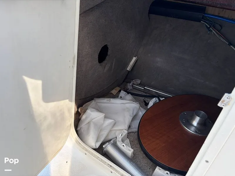 Slide: The Image of Stingray 231DC 2020 - 16245948