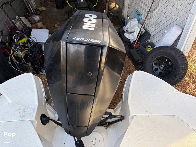 Slide: The Image of Stingray 231DC 2020 - 16245953