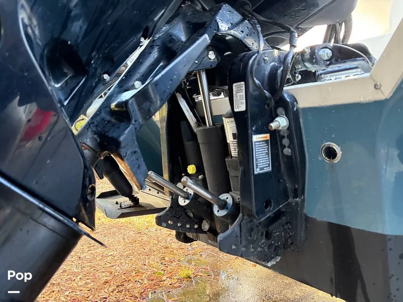 Slide: The Image of Stingray 231DC 2020 - 16245958