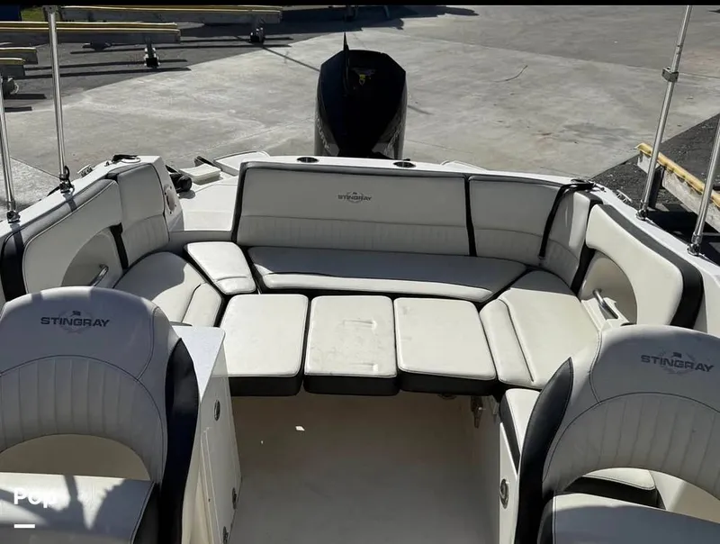 Slide: The Image of Stingray 231DC 2020 - 16211626