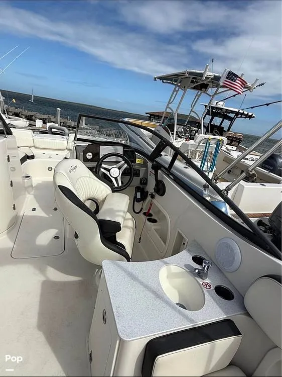 Slide: The Image of Stingray 231DC 2020 - 16211682