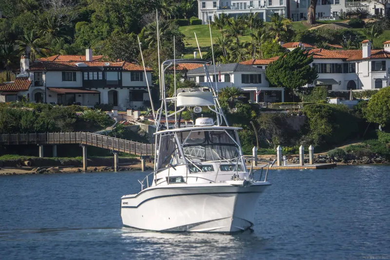 Slide: The Image of Grady-White Marlin 300 1998 - 5