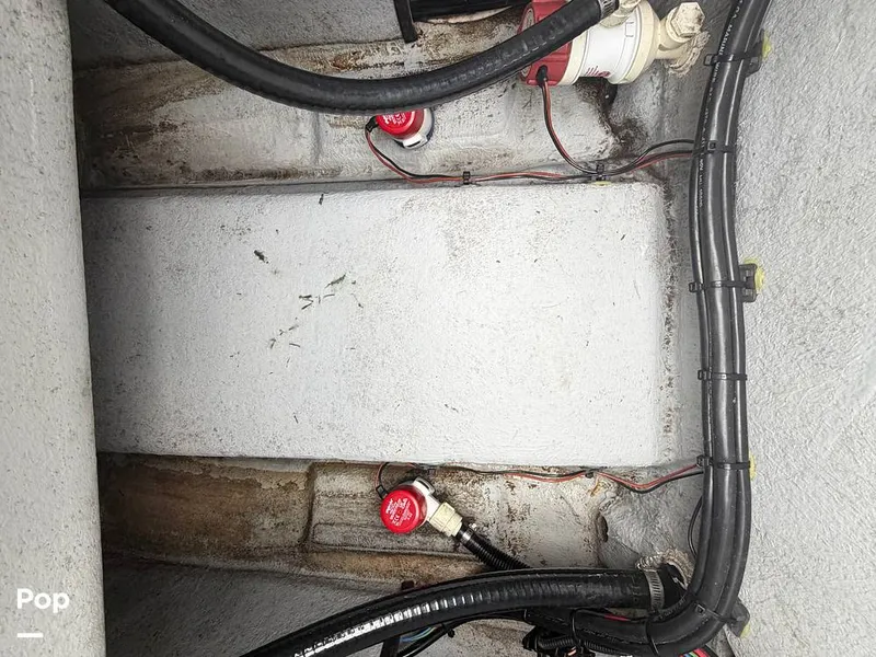 Slide: The Image of Haynie 23 2023 - 16238500