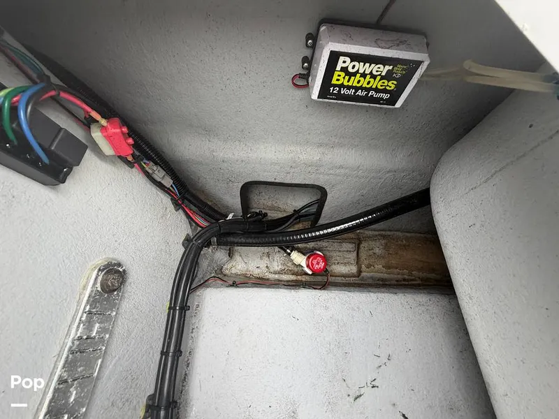 Slide: The Image of Haynie 23 2023 - 16238504