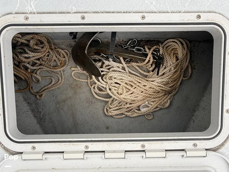 Slide: The Image of Haynie 23 2023 - 16238524